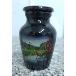 Urne souvenir image imprimée - Orignal