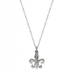 La fleur de lys
