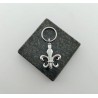 La fleur de lys